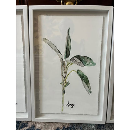🌿Framed art:  Marmont Hill Herb Trio Triptych by artist Rachel Byler.
