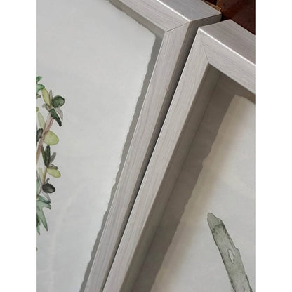 🌿Framed art:  Marmont Hill Herb Trio Triptych by artist Rachel Byler.