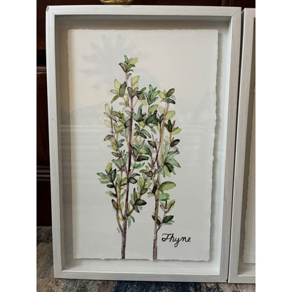 🌿Framed art:  Marmont Hill Herb Trio Triptych by artist Rachel Byler.