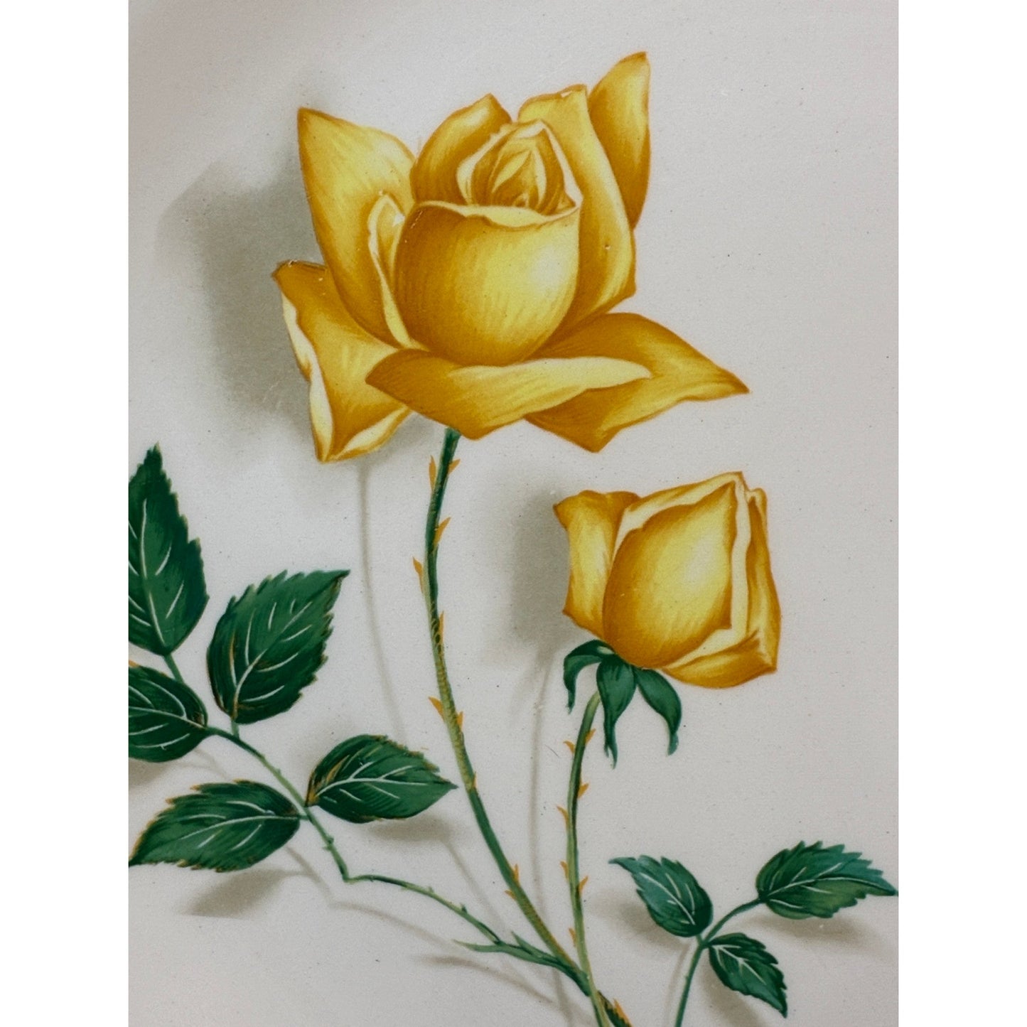 Simplicity by Cannonsburg Yellow Rose Dinner Plate Gold Trim Replacement China - Vintage